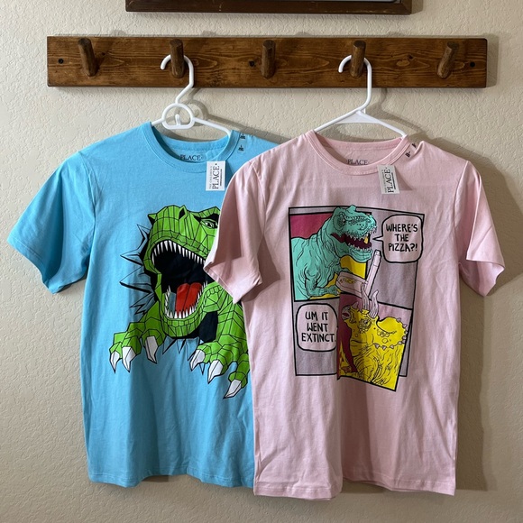The Children's Place Other - 2 Pack Boy The Children's Place Blue and Pink Short Sleeve Tees